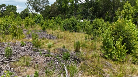 Vacant Land For Sale Ruston, Lousiana - Lot 2 - image 5