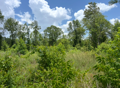 Vacant Land For Sale Ruston, Lousiana - Lot 2 - image 9