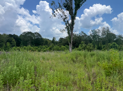 Vacant Land For Sale Ruston, Lousiana - Lot 2 - image 1