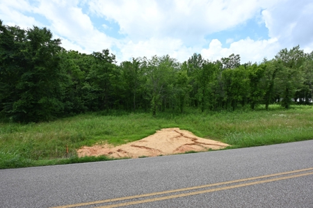 Tennessee River Front Property - image 10