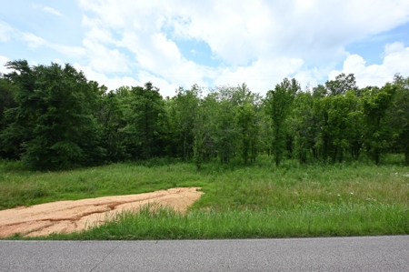 Tennessee River Front Property - image 11