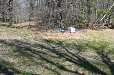 Charming Renovation Opportunity – Bruceton, TN - image 11