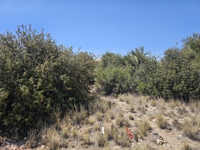 Arizona Land Opportunity! Don't miss out on this buildable lot! - image 6
