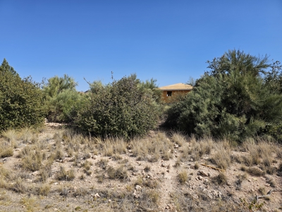 Arizona Land Opportunity! Don't miss out on this buildable lot! - image 1