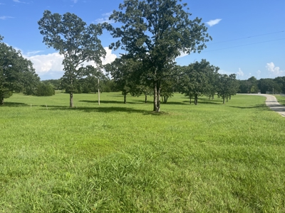 Land for Sale in Ada OK - Cleared - Homesite - Close to School - image 5