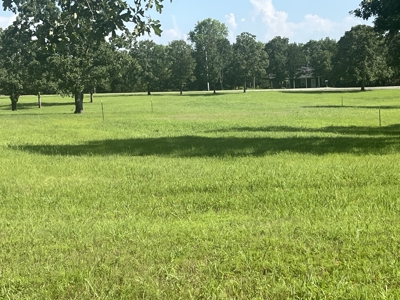 Land for Sale in Ada OK - Cleared - Homesite - Close to School - image 4