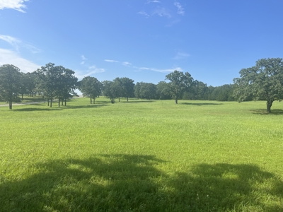 Land for Sale in Ada OK - Cleared - Homesite - Close to School - image 7
