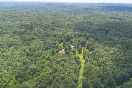 Country Home for Sale in Lewis County, Tennessee - image 42