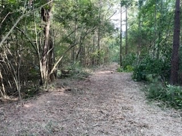 Listing 231