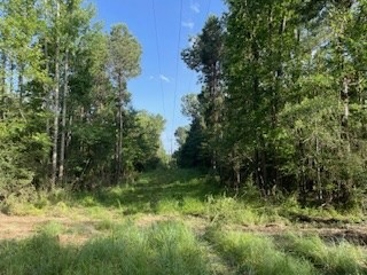 Listing 231