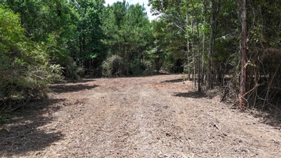Listing 231