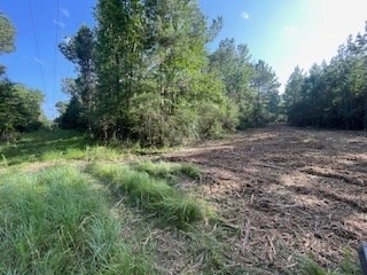 Listing 231