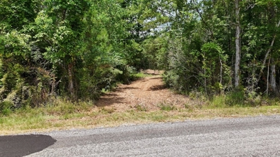 Listing 231
