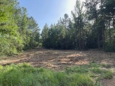 Listing 231