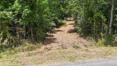 Listing 231