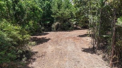 Listing 231