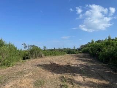 Small Hunting Tract FOR SALE in Amite County, MS - image 12