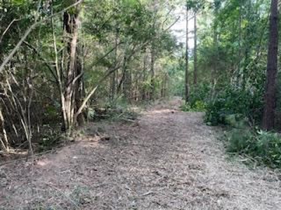Small Hunting Tract FOR SALE in Amite County, MS - image 27