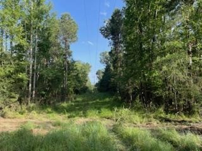 Small Hunting Tract FOR SALE in Amite County, MS - image 21