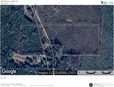 Small Hunting Tract FOR SALE in Amite County, MS - image 30
