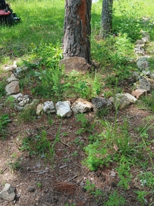 Carter County Missouri land For Sale - image 4