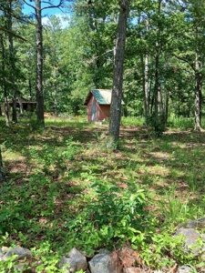 Carter County Missouri land For Sale - image 1
