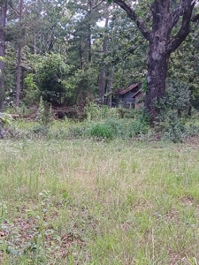 Carter County Missouri land For Sale - image 8