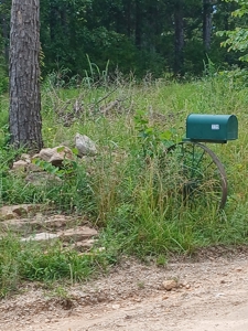 Carter County Missouri land For Sale - image 3
