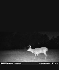 Amite County Hunting Land - The Winding 41 - image 11