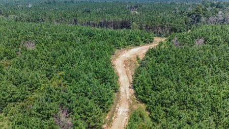Amite County Hunting Land - The Winding 41 - image 6
