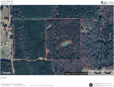 Amite County Hunting Land - The Winding 41 - image 25