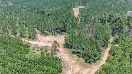 Amite County Hunting Land - The Winding 41 - image 7