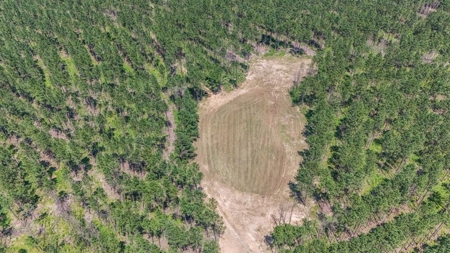 Amite County Hunting Land - The Winding 41 - image 2