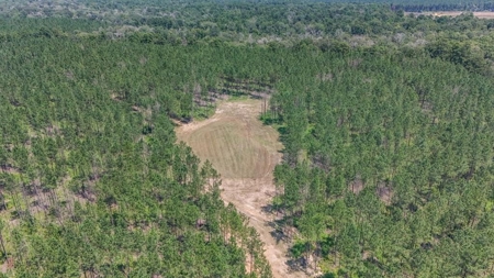 Amite County Hunting Land - The Winding 41 - image 1