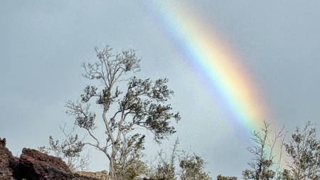 Turnkey 3BD Hawai‘i Home w/Ocean Views, Lanai, Garage & Vaulted C - image 41