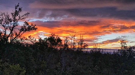 Turnkey 3BD Hawai‘i Home w/Ocean Views, Lanai, Garage & Vaulted C - image 42