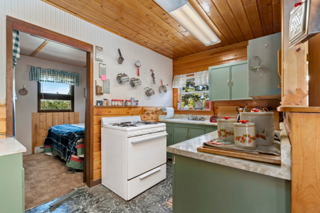 Cabin with Lake and Mountain Views - image 4