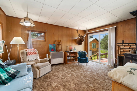 Cabin with Lake and Mountain Views - image 3