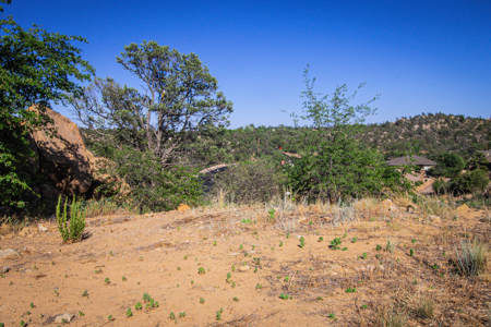 1.07 Acres with Pines, Boulders & Big Views - image 6
