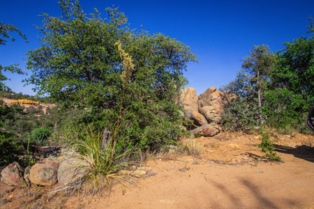 1.07 Acres with Pines, Boulders & Big Views - image 2