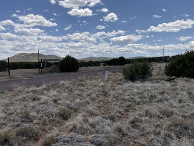White Mountains of Arizona Land for Sale Near Show Low AZ - image 1