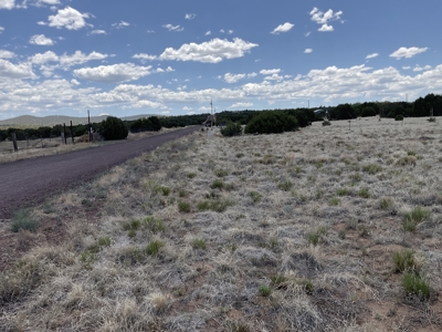 White Mountains of Arizona Land for Sale Near Show Low AZ - image 7