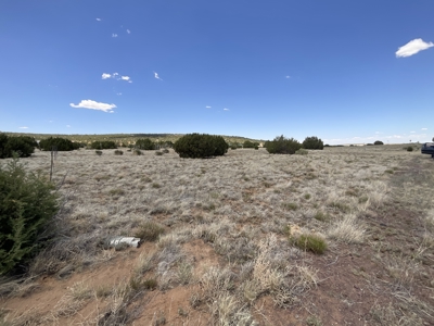 White Mountains of Arizona Land for Sale Near Show Low AZ - image 8