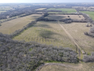 Sanger TX, Horse Property, For Sale - image 5