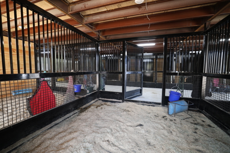 Sanger TX, Horse Property, For Sale - image 9
