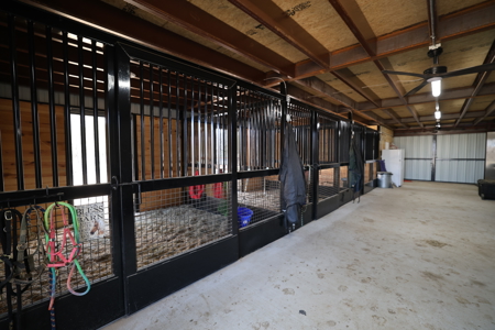 Sanger TX, Horse Property, For Sale - image 3