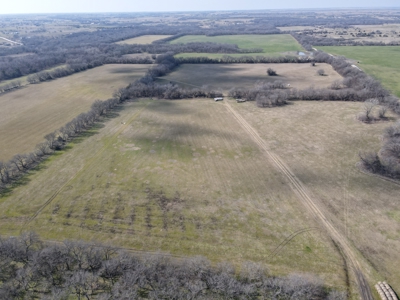 Sanger TX, Horse Property, For Sale - image 4