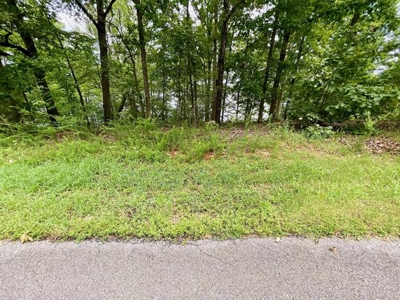 Lakefront lot in Horseshoe Bend, AR for sale - image 25