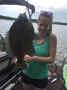 Lakefront lot in Horseshoe Bend, AR for sale - image 39