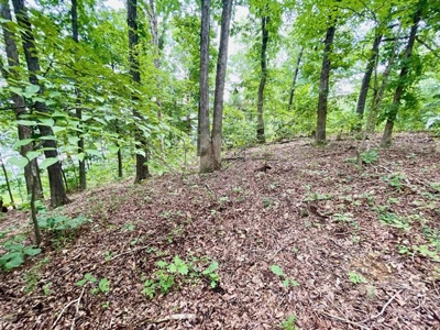 Lakefront lot in Horseshoe Bend, AR for sale - image 17